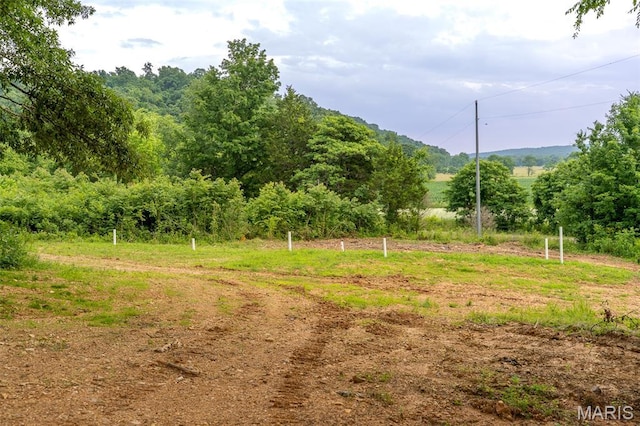21202 State Highway Mm, Glen Allen, MO 63751 - photo 12