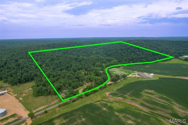 21202 State Highway Mm, Glen Allen, MO 63751 - photo 18