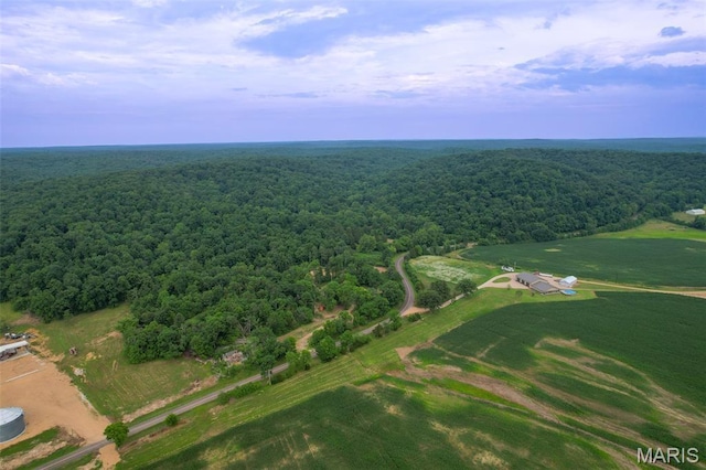 21202 State Highway Mm, Glen Allen, MO 63751 - photo 19