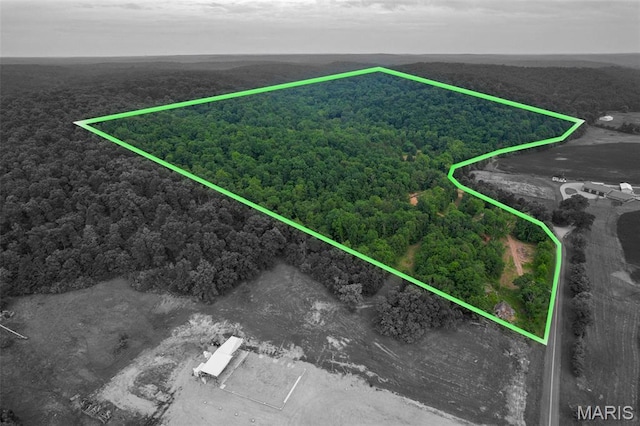 21202 State Highway Mm, Glen Allen, MO 63751 - photo 20