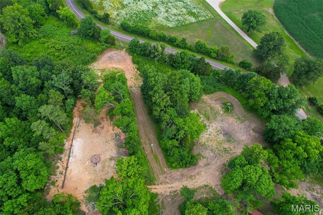 21202 State Highway Mm, Glen Allen, MO 63751 - photo 21