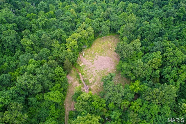 21202 State Highway Mm, Glen Allen, MO 63751 - photo 23