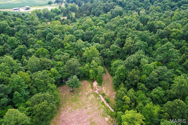 21202 State Highway Mm, Glen Allen, MO 63751 - photo 24