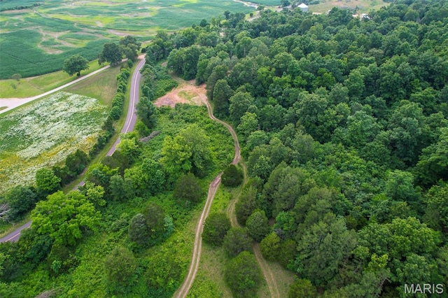 21202 State Highway Mm, Glen Allen, MO 63751 - photo 26