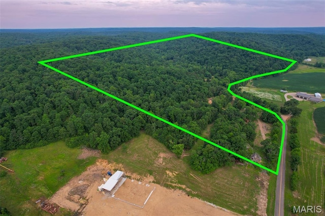 21202 State Highway Mm, Glen Allen, MO 63751 - photo 1