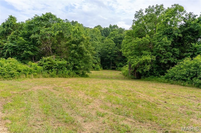 21202 State Highway Mm, Glen Allen, MO 63751 - photo 3