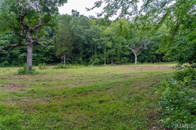 21202 State Highway Mm, Glen Allen, MO 63751 - photo 4