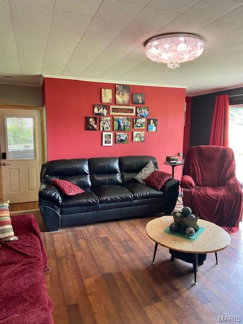 living area with wood finished floors