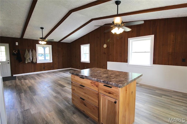 14525 Meadowlark Ln, Saint Genevieve, MO 63670 - kitchen with ceiling fan, dark countertops, wooden walls, wood finished floors, and a textured ceiling