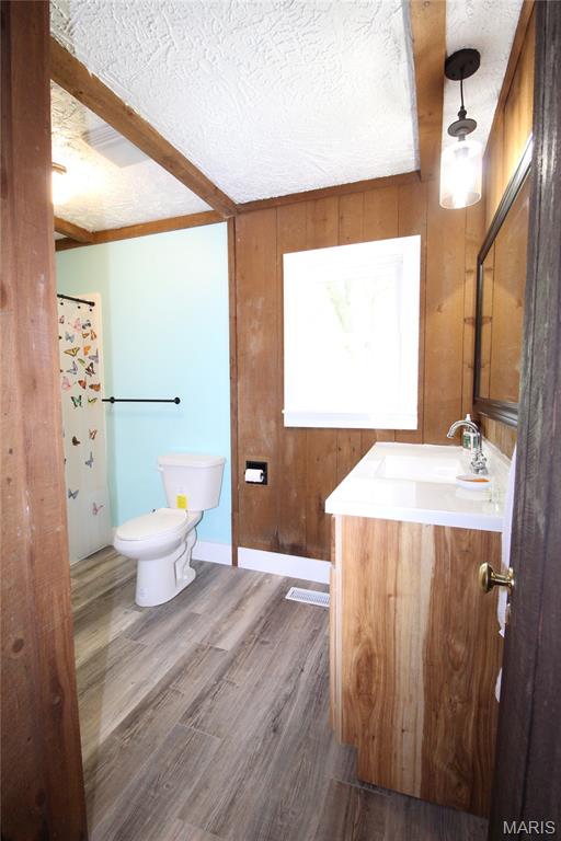 14525 Meadowlark Ln, Saint Genevieve, MO 63670 - bathroom with vanity, wood finished floors, a textured ceiling, and wood walls