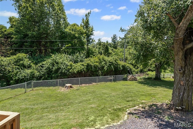 5000 Cavalier Ct, Godfrey, IL 62035 - photo 6
