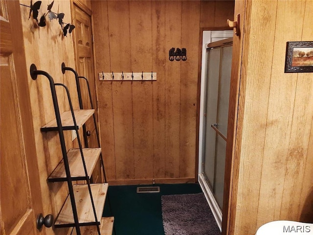 171 Bluffview Cir, Piedmont, MO 63957 - bathroom with wood walls and a shower stall