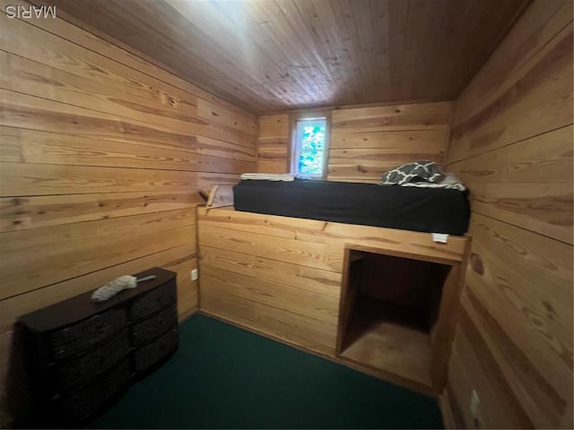 171 Bluffview Cir, Piedmont, MO 63957 - bedroom with wood walls, wood ceiling, and a sauna / steam room