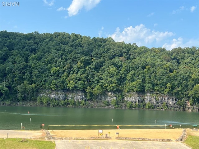171 Bluffview Cir, Piedmont, MO 63957 - water view featuring a heavily wooded area