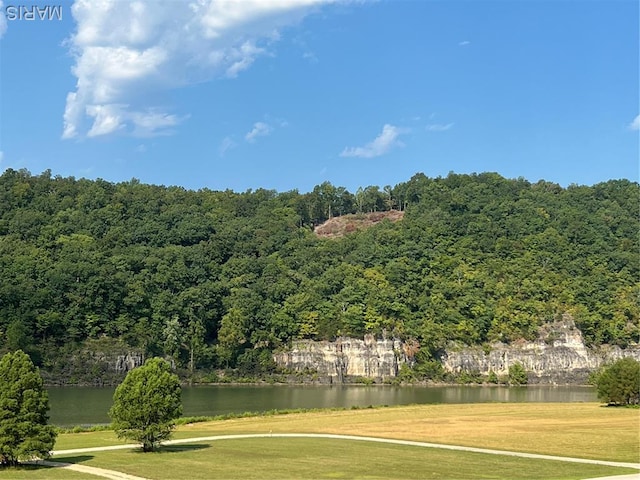 171 Bluffview Cir, Piedmont, MO 63957 - view of community featuring a water view, a yard, and a wooded view