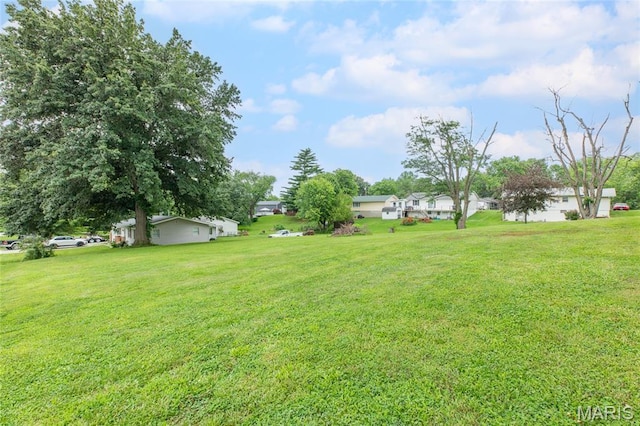 457 Maple Dr, Bethalto, IL 62010 - view of green lawn