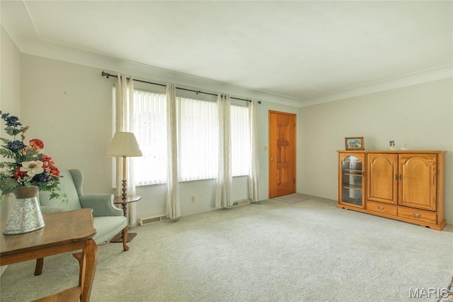 457 Maple Dr, Bethalto, IL 62010 - living area with light colored carpet