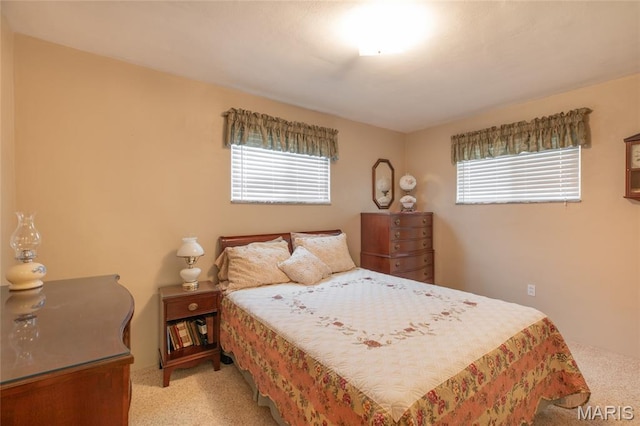 457 Maple Dr, Bethalto, IL 62010 - bedroom with multiple windows and carpet