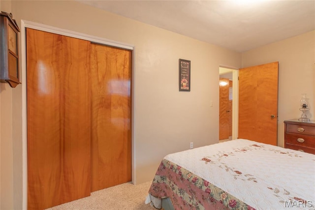 457 Maple Dr, Bethalto, IL 62010 - bedroom with carpet and a closet
