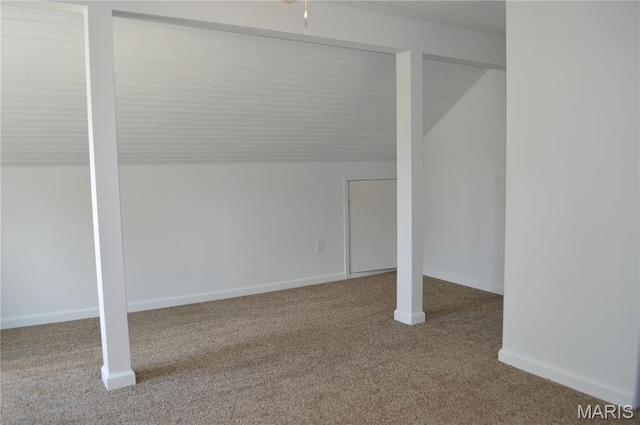 834 Vine St, Festus, MO 63028 - below grade area with carpet