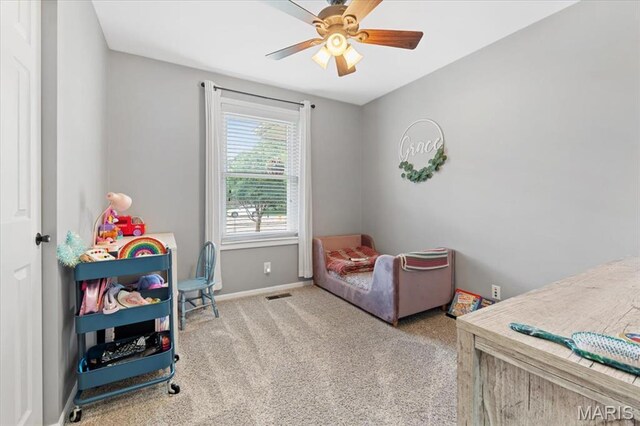 6441 Farmcrest Ct, Oakville Township, MO 63129 - photo 23