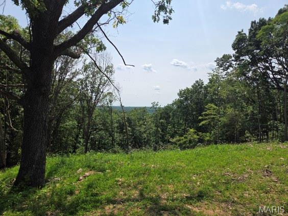 11485 Click Rd, Richwoods, MO 63071