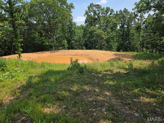 11485 Click Rd, Richwoods, MO 63071
