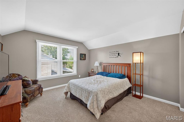 11 Rhinegarten Dr, Florissant, MO 63031 - photo 40