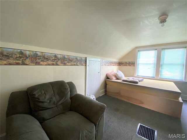 224 W 4th St, Hermann, MO 65041 - photo 24