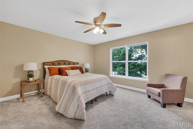 2324 Garden Ln, Festus, MO 63028 - photo 26