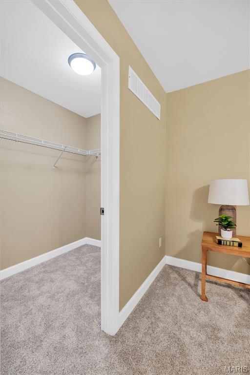 2324 Garden Ln, Festus, MO 63028 - photo 29