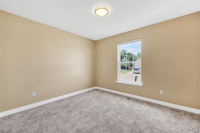 2324 Garden Ln, Festus, MO 63028 - photo 35