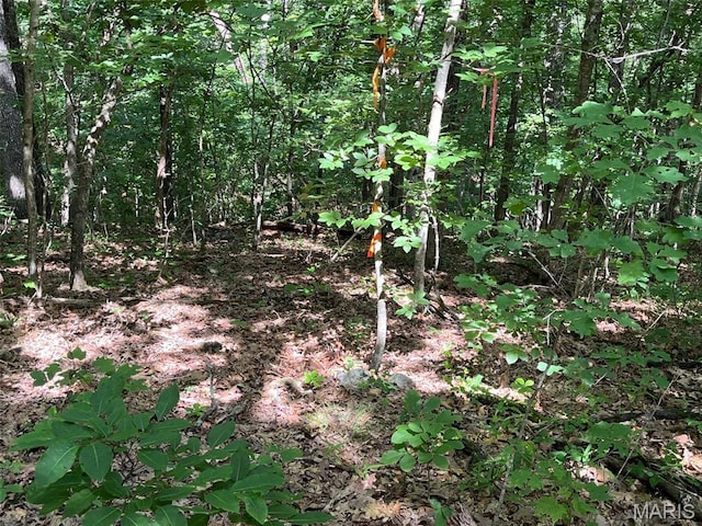0 Delbridge Rd, Potosi, MO 63664