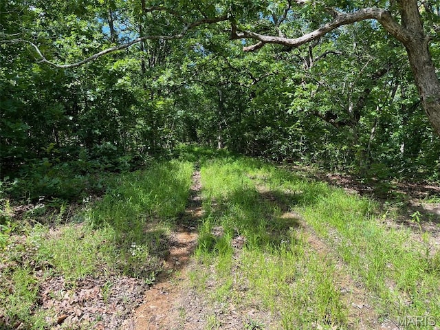 0 Delbridge Rd, Potosi, MO 63664