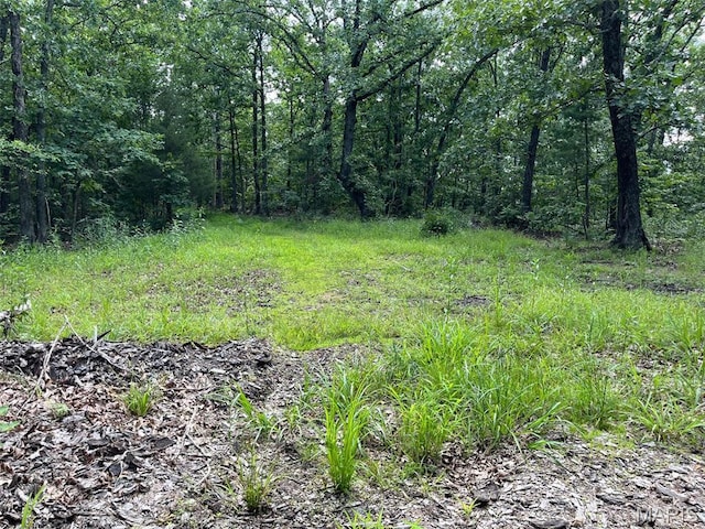 0 Delbridge Rd, Potosi, MO 63664