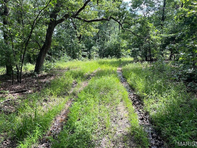 0 Delbridge Rd, Potosi, MO 63664