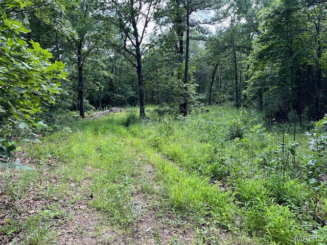 0 Delbridge Rd, Potosi, MO 63664