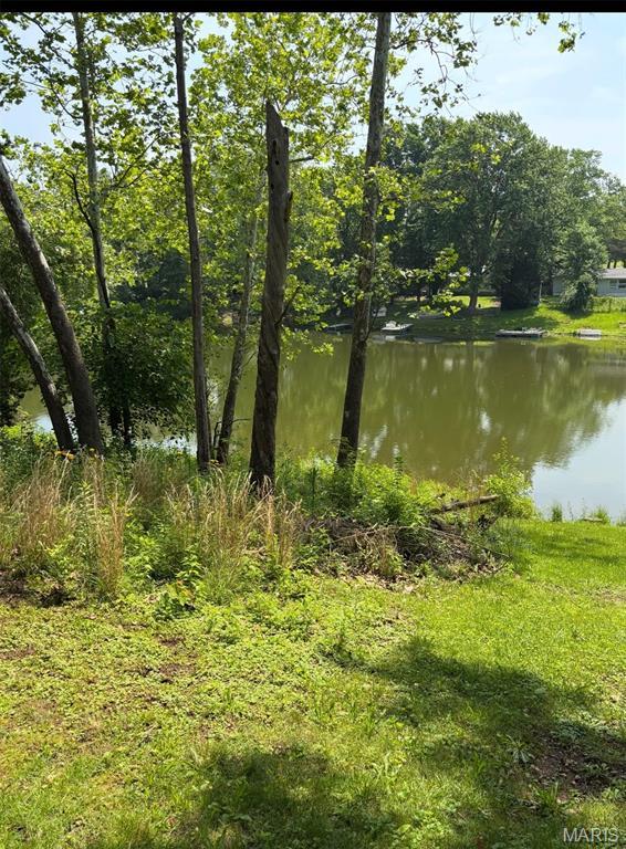 14276 W Sunrise Lake Dr, De Soto, MO 63020 - photo 3