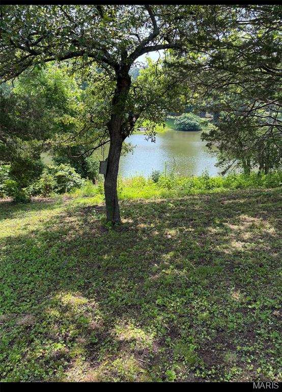 14276 W Sunrise Lake Dr, De Soto, MO 63020 - photo 4