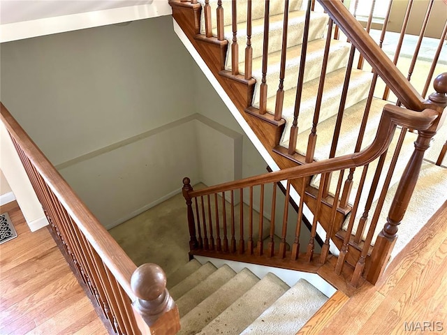 1072 Cromwell Ln, Shiloh, IL 62221 - photo 27