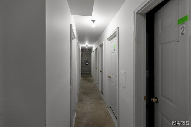 1943 Greenpoint Dr Unit 302, Kirkwood, MO 63122 - hallway with concrete floors