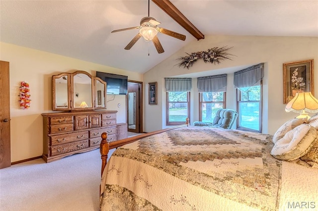1432 Lana Dr, Lebanon, MO 65536 - photo 31