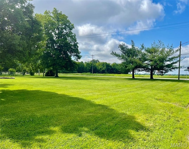 12 Dee, Moro, IL 62067 - view of green lawn