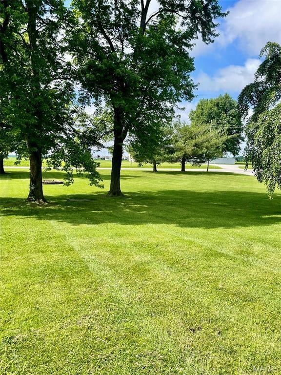 12 Dee, Moro, IL 62067 - view of grassy yard
