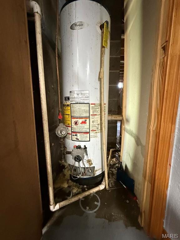 1206 Virginia Ave, Canton, MO 63435 - utilities featuring gas water heater