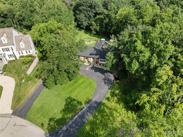 12925 Topping Estates Dr, Town And Country, MO 63131 - photo 59