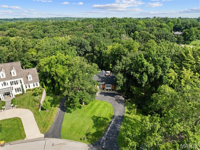 12925 Topping Estates Dr, Town And Country, MO 63131 - photo 60