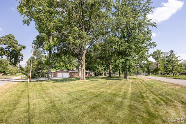 1101 Old Baldwin Rd, New Athens, IL 62264 - photo 5