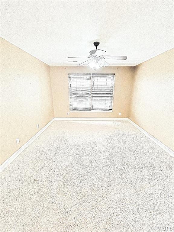 4202 Cassatt Ct, Swansea, IL 62226 - photo 52