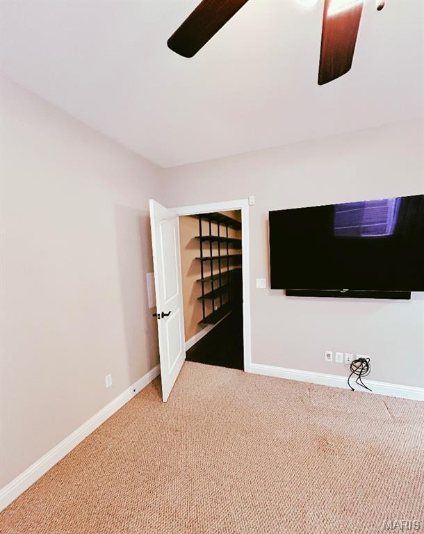 4202 Cassatt Ct, Swansea, IL 62226 - photo 58